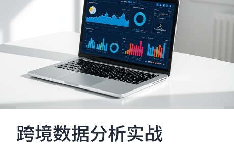 跨境电商数据分析实战课程