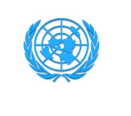 如何进入联合国市场课程封面